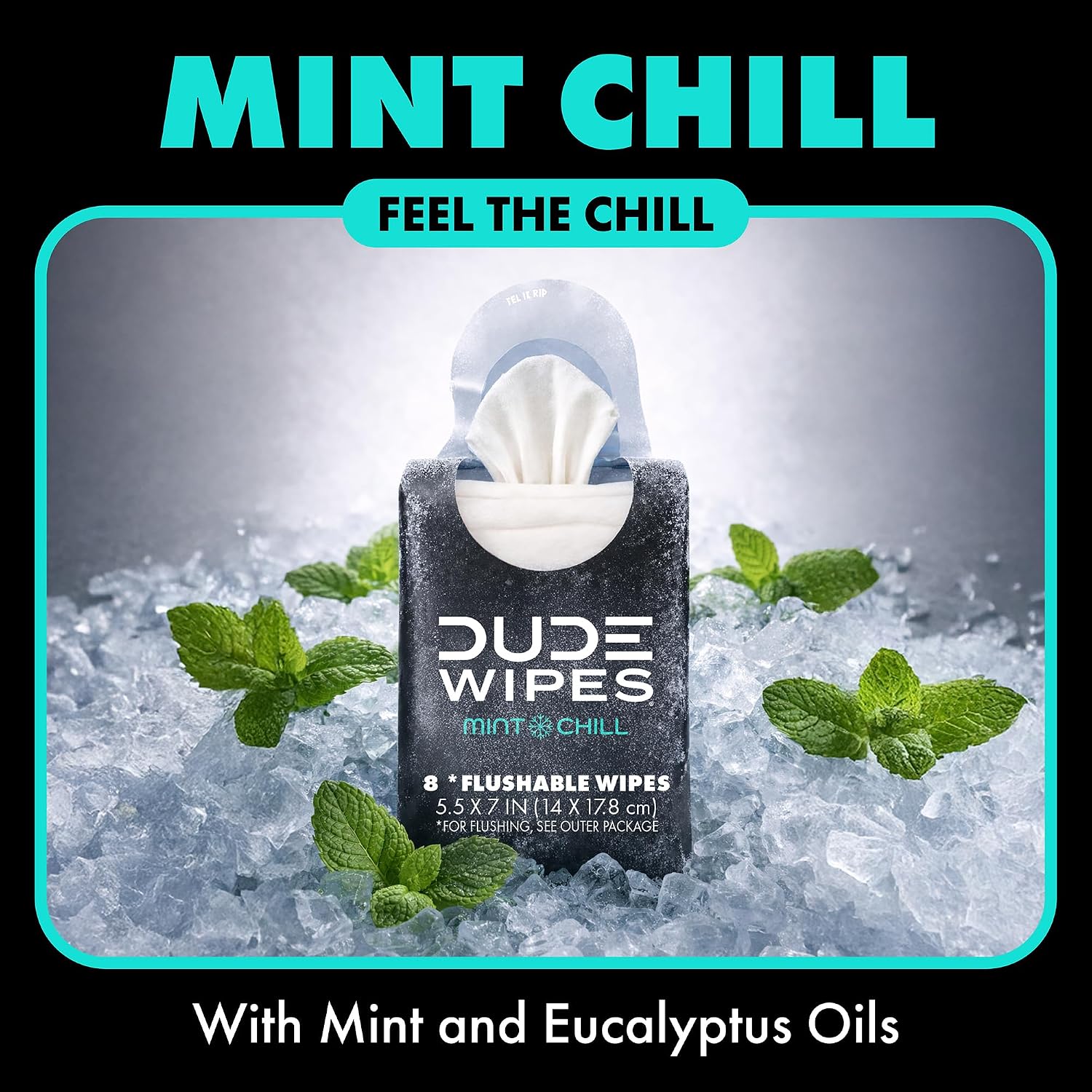 DUDE Wipes Mint Chill Pocket Packs, Adult Flushable Travel Wipes, 48 Count - Image 3